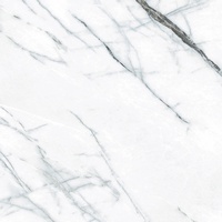 A161738 articul-A161738