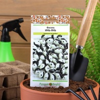 A162559 articul-A162559