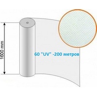 A202099 articul-A202099