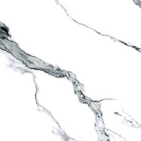 A220487 articul-A220487