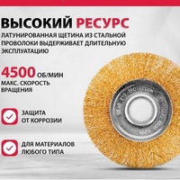 articul-A291608-2