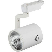 articul-A292544