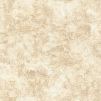 articul-A344354