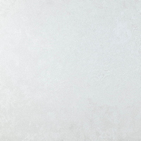 articul-A354544