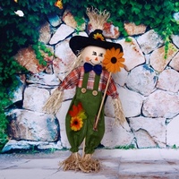 A51837 articul-A51837