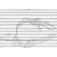 articul-A78921
