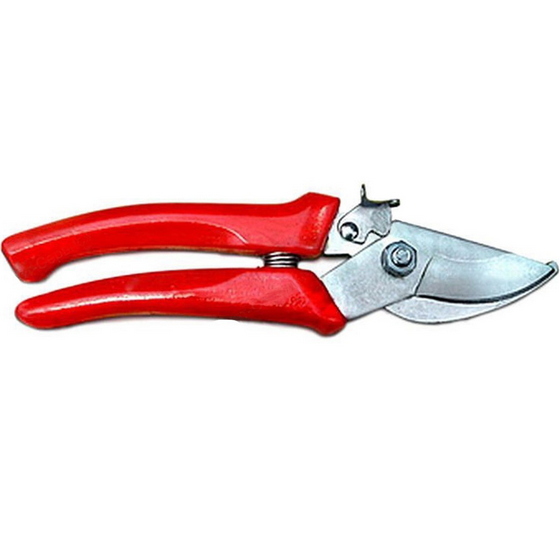 A215325 articul-A215325